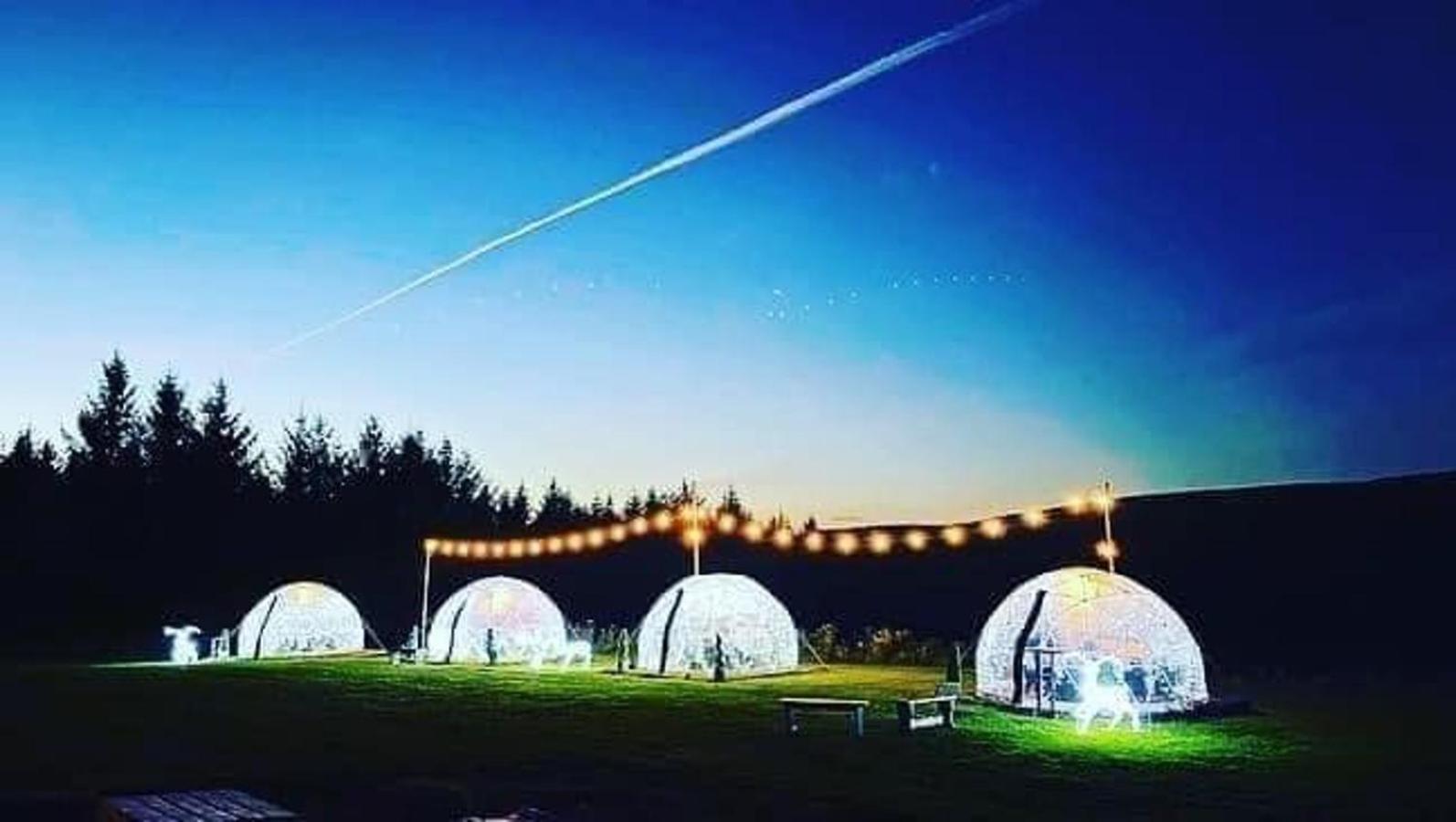 Afan Forest Retreat Cozy Getaway, Pet Friendly Cymmer ภายนอก รูปภาพ